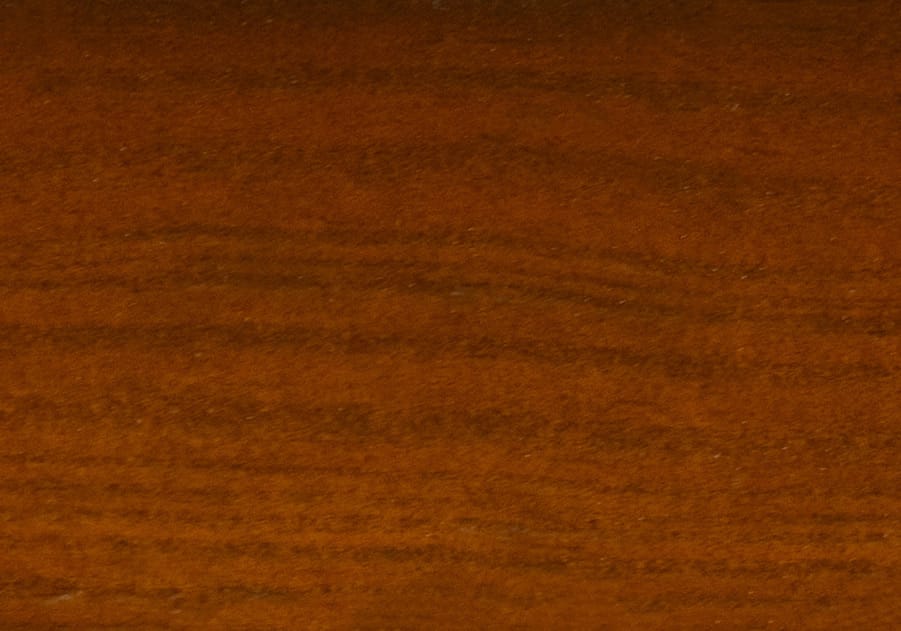 Orzech (sosna)